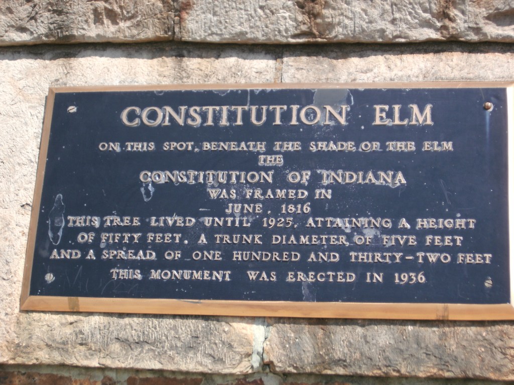 Indiana's Constitution Elm