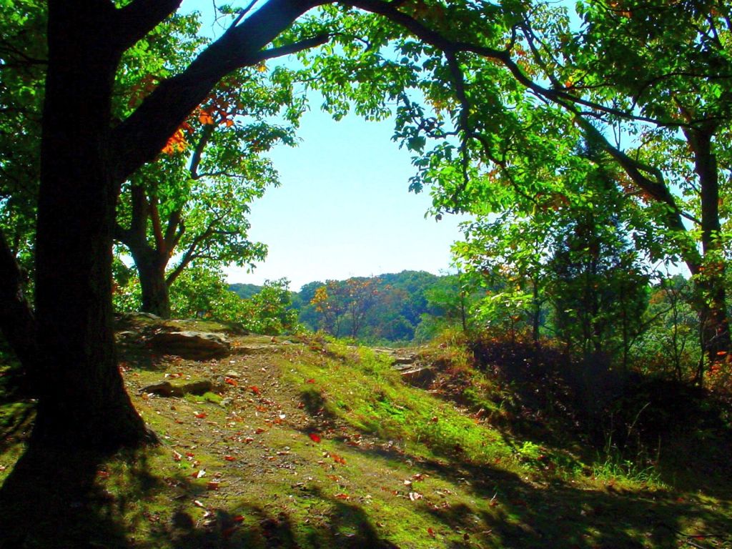 Jackson-Washington State Forest