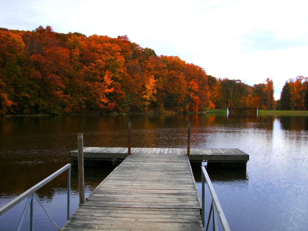 Jackson-Washington State Forest