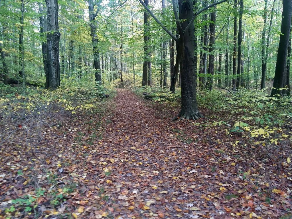 Muscatatuck National Wildlife Refuge