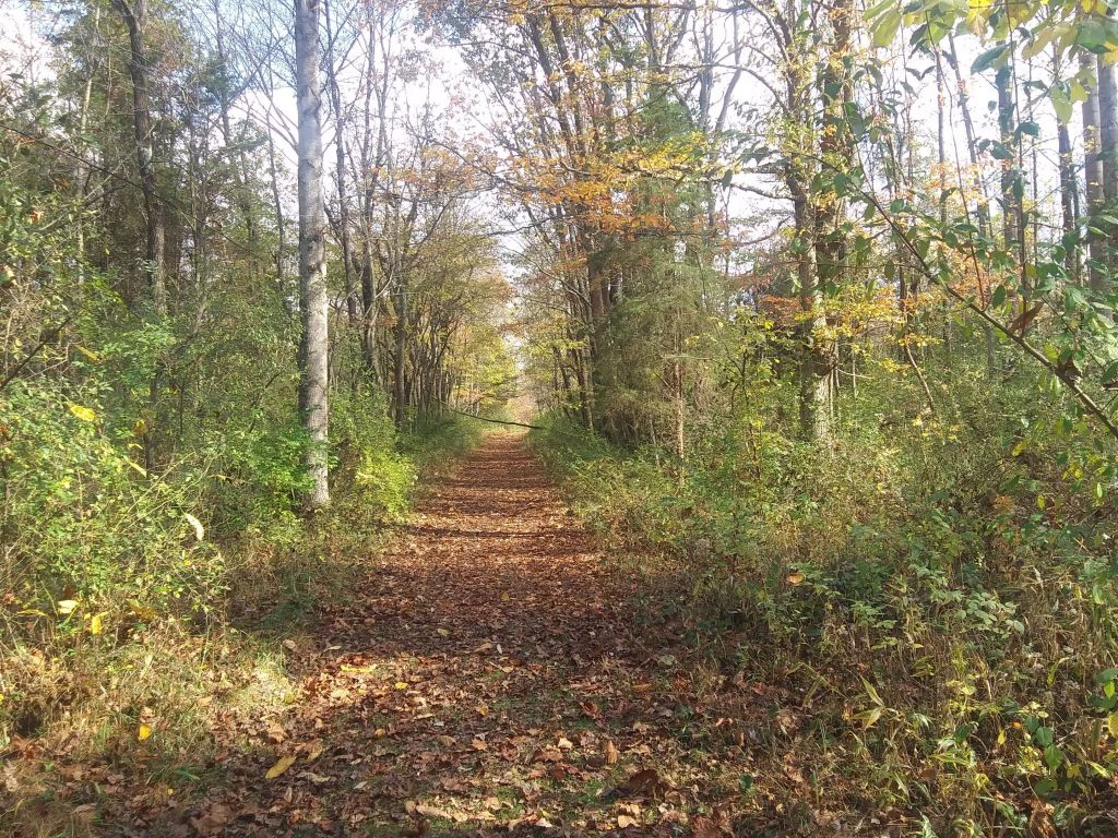 Muscatatuck National Wildlife Refuge