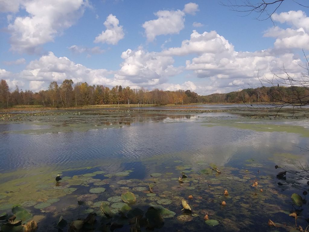 Muscatatuck National Wildlife Refuge