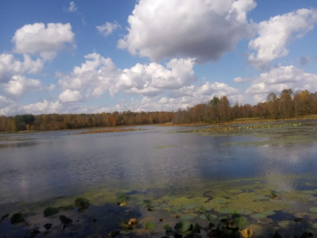 Muscatatuck National Wildlife Refuge