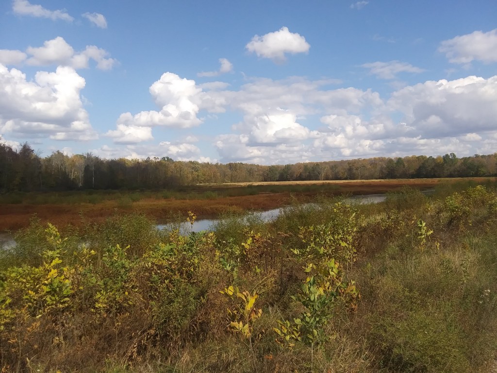 Muscatatuck National Wildlife Refuge