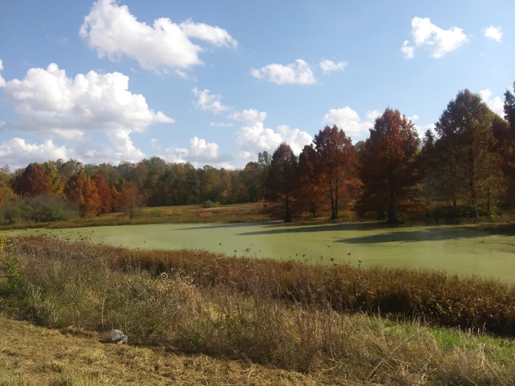 Muscatatuck National Wildlife Refuge