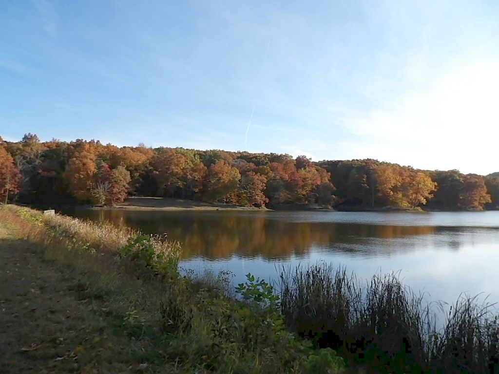 Trail 7 Around Ogle Lake