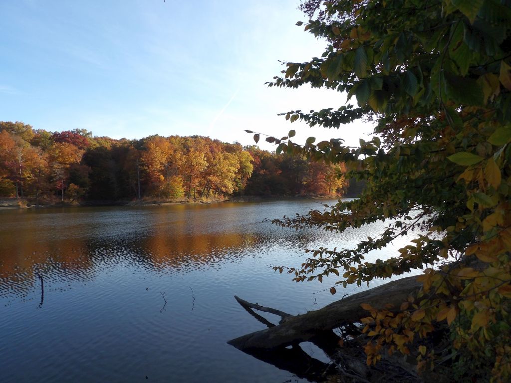 Trail 7 Around Ogle Lake