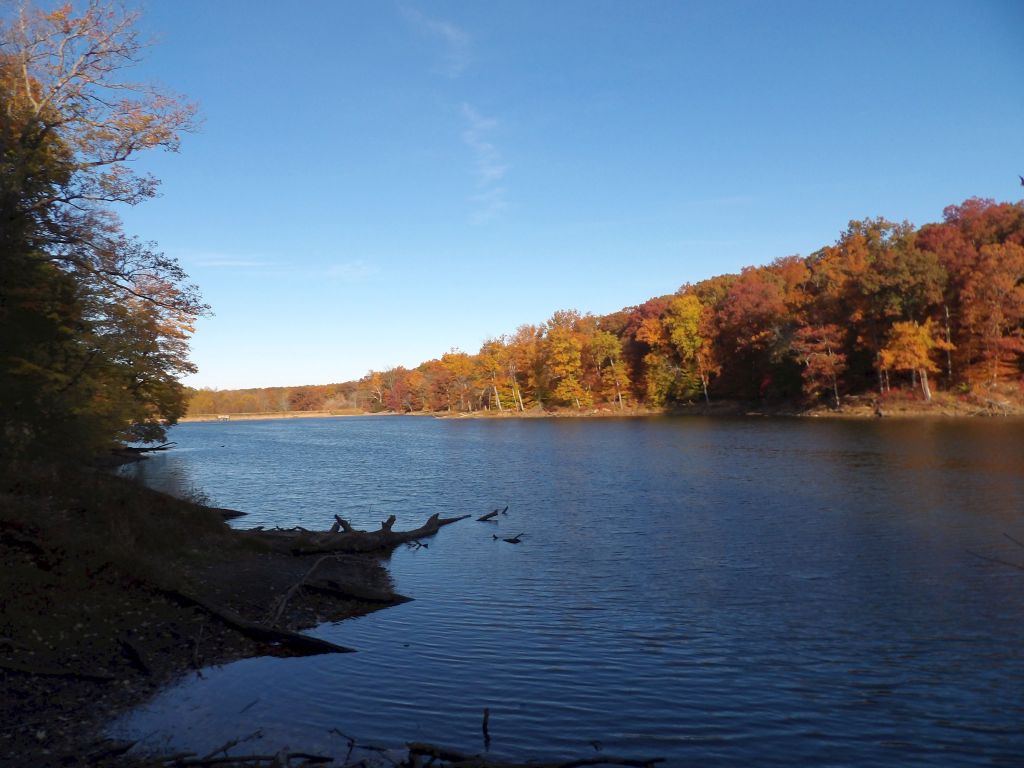 Trail 7 Around Ogle Lake