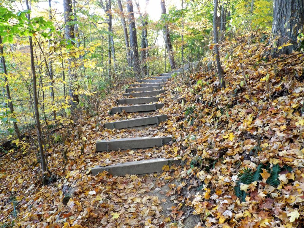 Trail 7 Around Ogle Lake