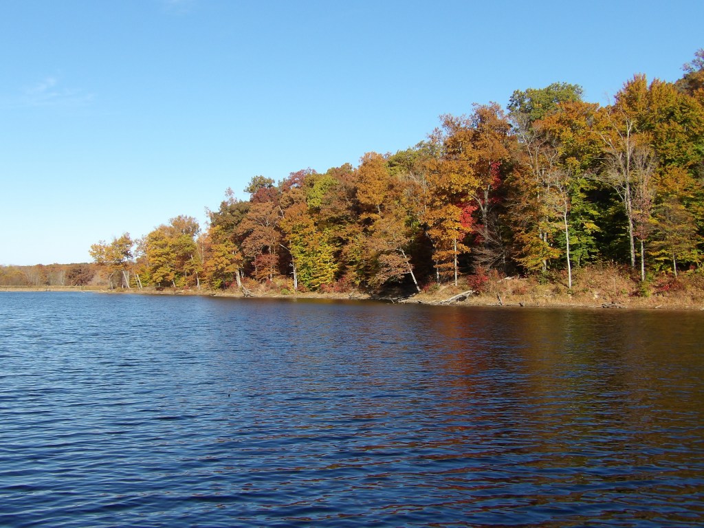 Trail 7 Around Ogle Lake