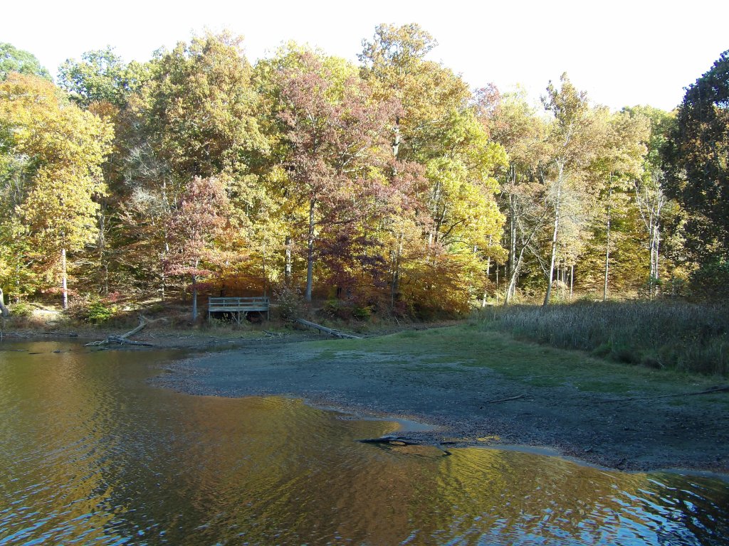 Trail 7 Around Ogle Lake