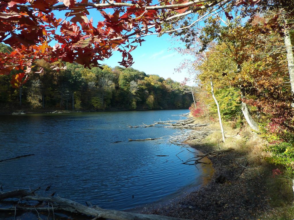 Trail 7 Around Ogle Lake
