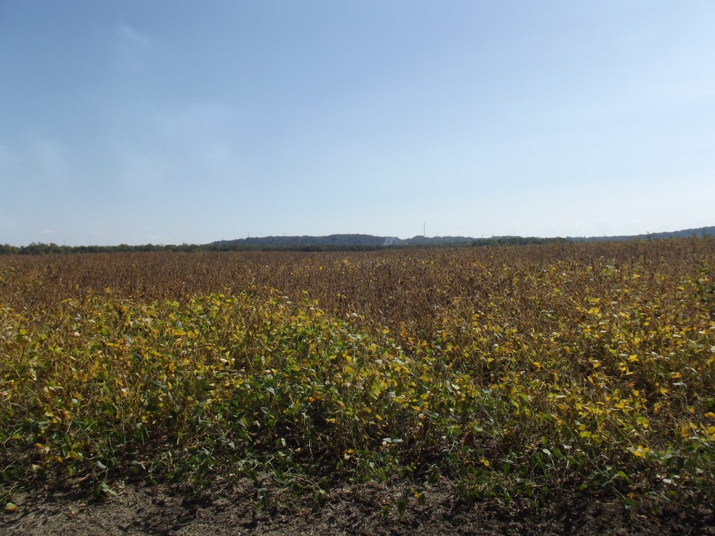 Oxbow at Lawrenceburg