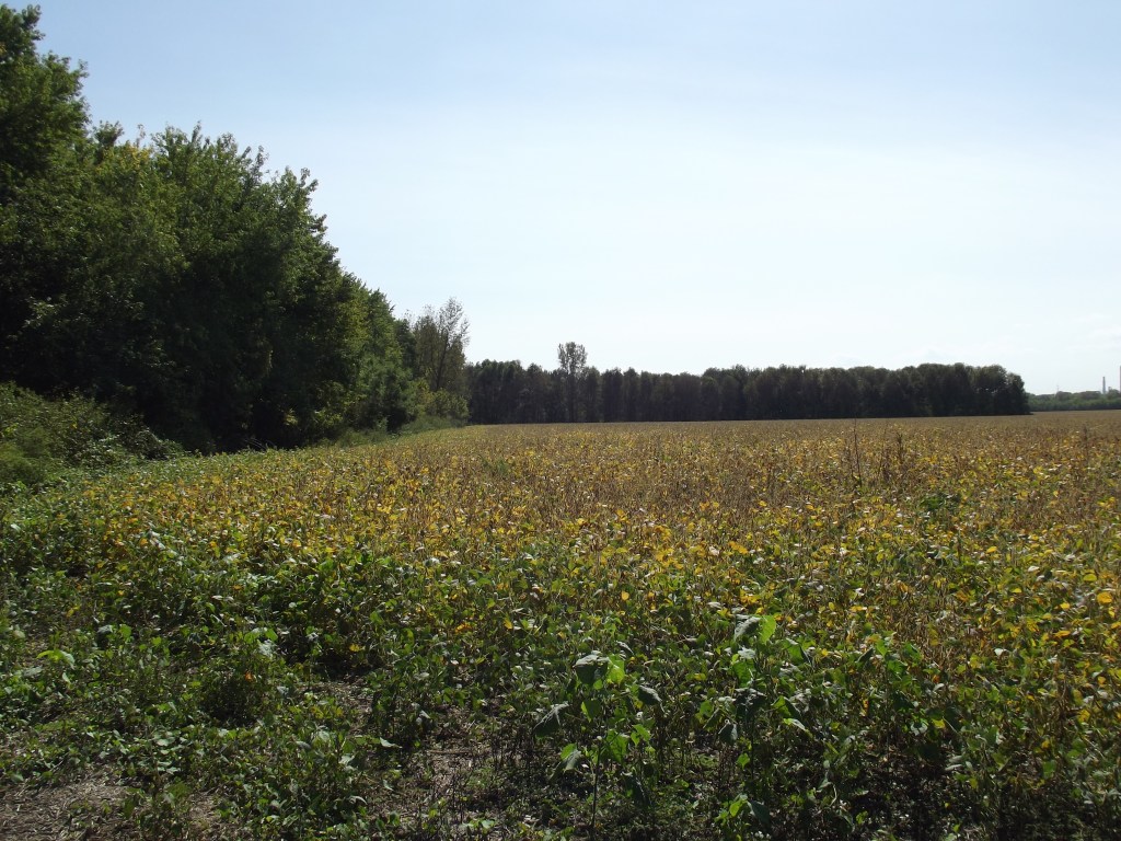 Oxbow at Lawrenceburg