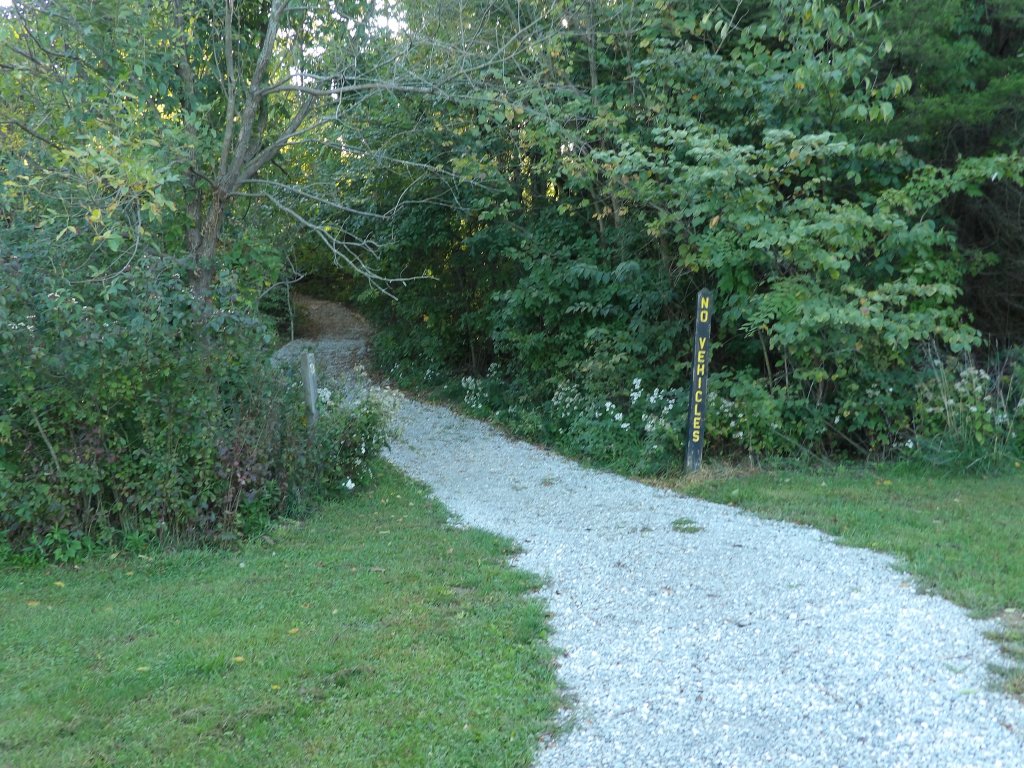 Wildlife Management Trail - Salmonie Lake State Park