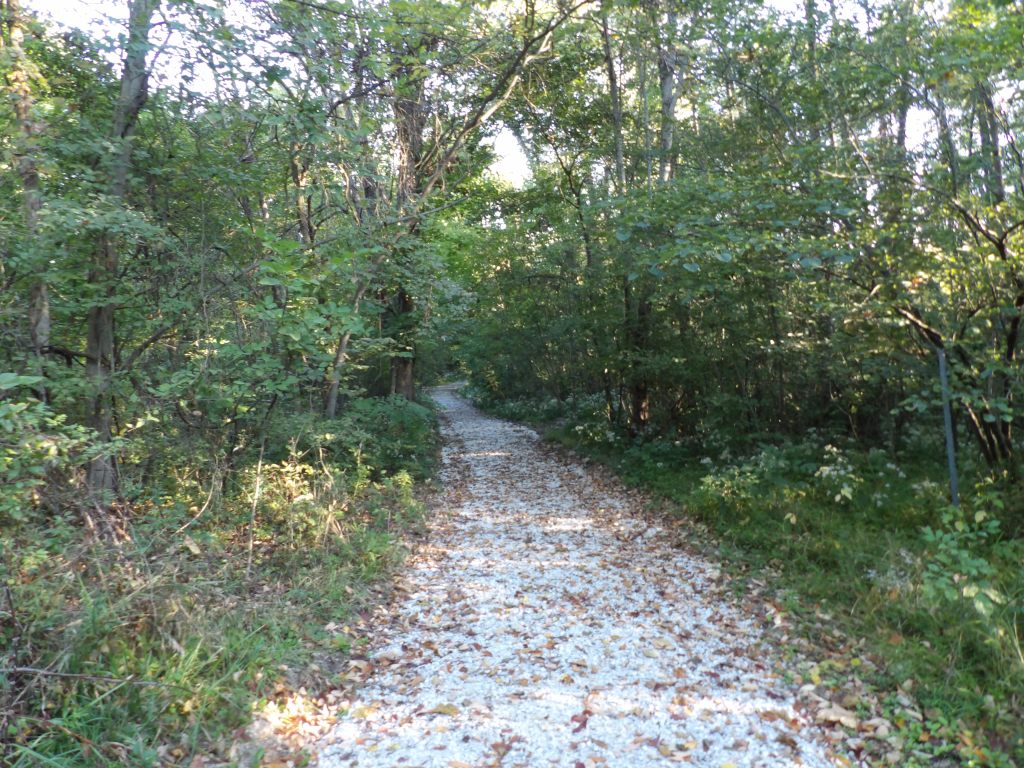 Wildlife Management Trail - Salmonie Lake State Park