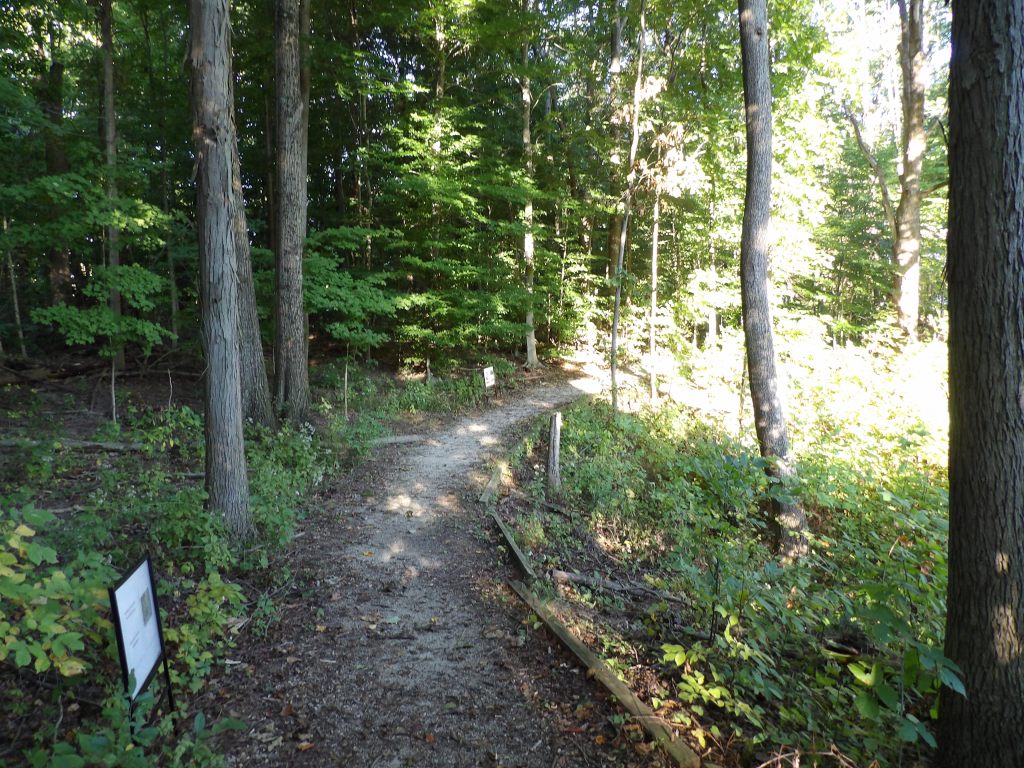 Wildlife Management Trail - Salmonie Lake State Park