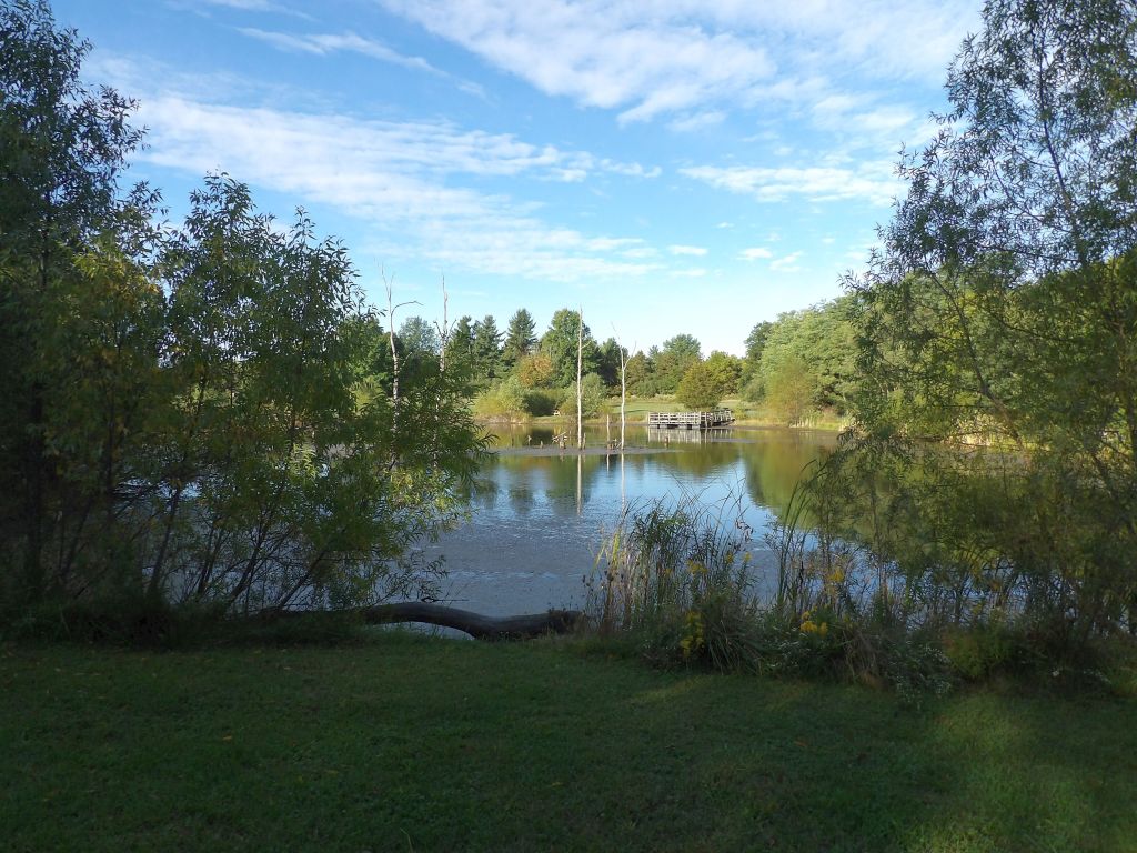 Wildlife Management Trail - Salmonie Lake State Park