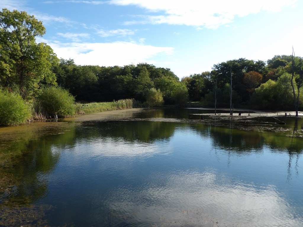 Wildlife Management Trail - Salmonie Lake State Park