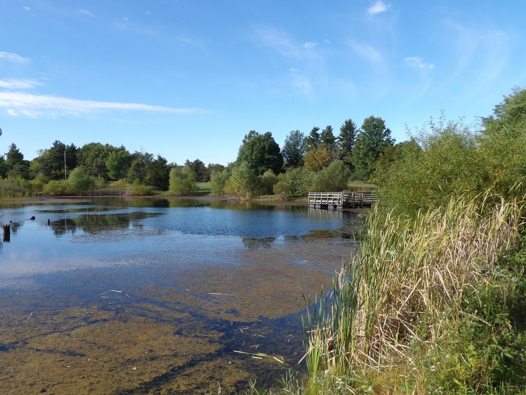 Wildlife Management Trail - Salmonie Lake State Park