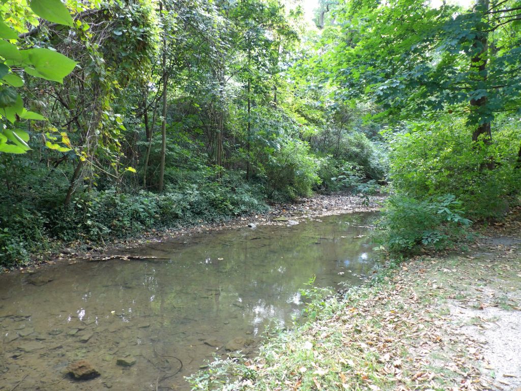 Charley Creek Gardens