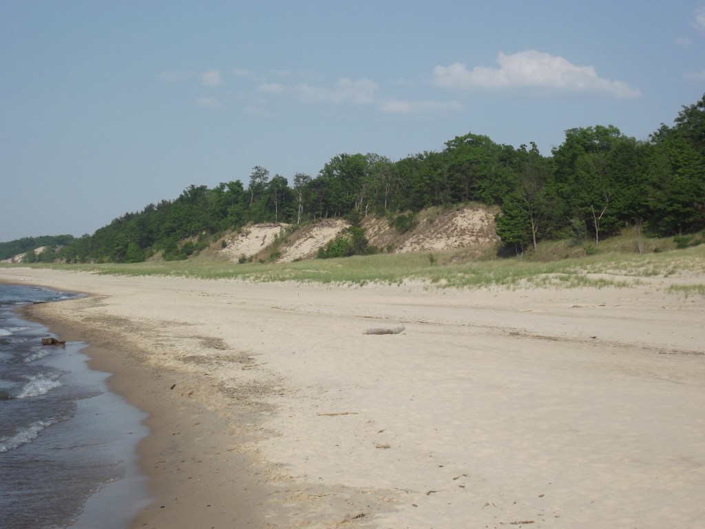 Lake Michigan - Indiana Dunes State Park