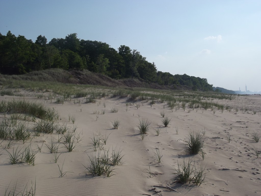 Lake Michigan - Indiana Dunes State Park