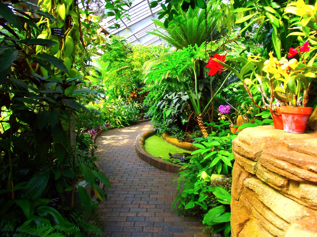 Garfield Park Conservatory