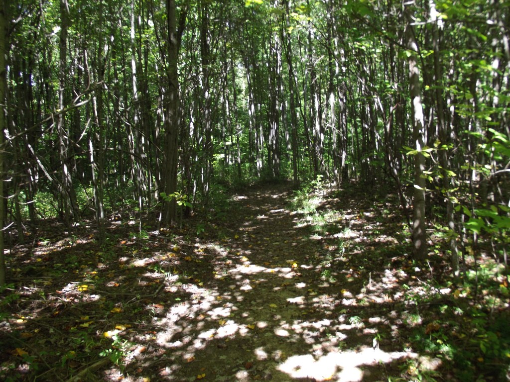 Gladys Russel Wildlife Refuge
