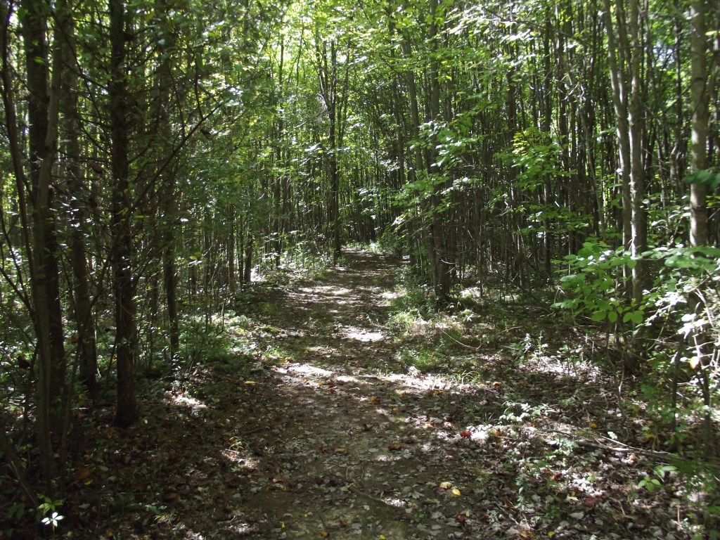 Gladys Russel Wildlife Refuge
