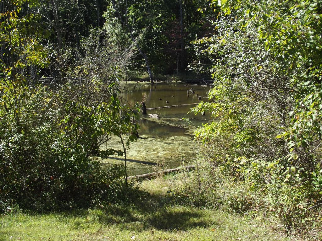 Gladys Russel Wildlife Refuge