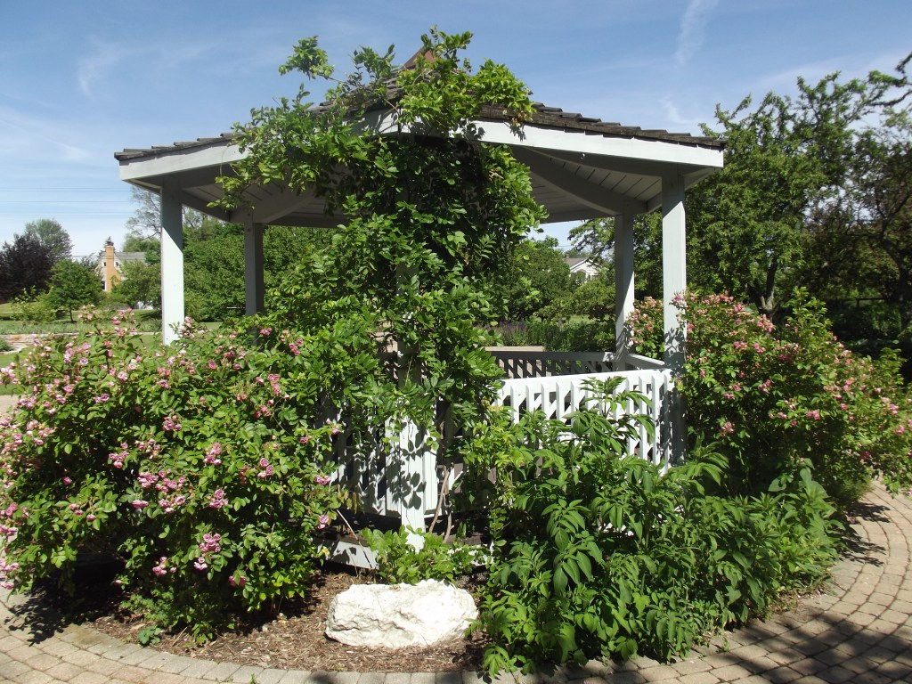 Ogden Botanical Garden
