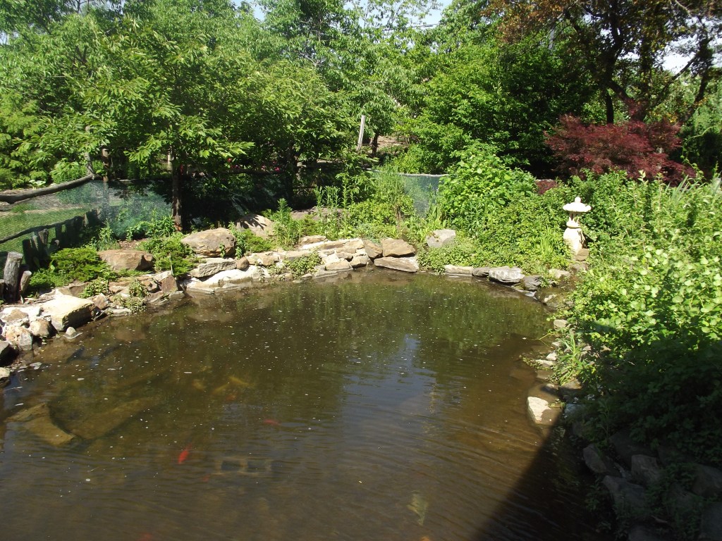 Ogden Botanical Garden