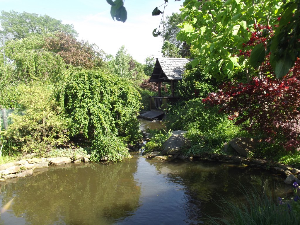 Ogden Botanical Garden