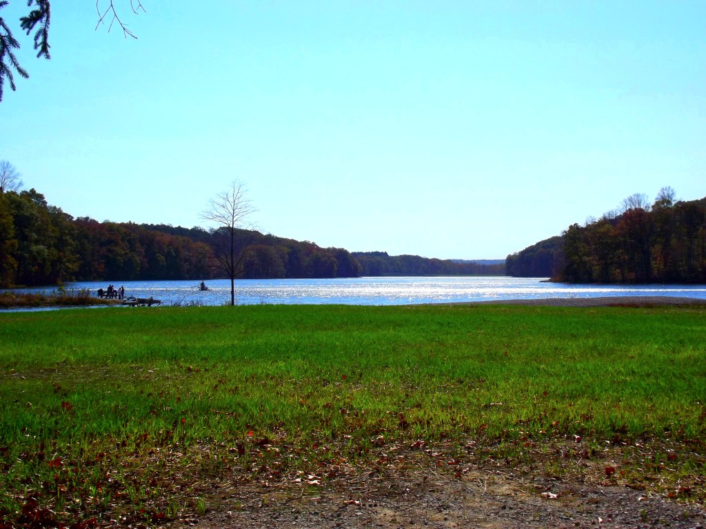 Yellowwood State Forest