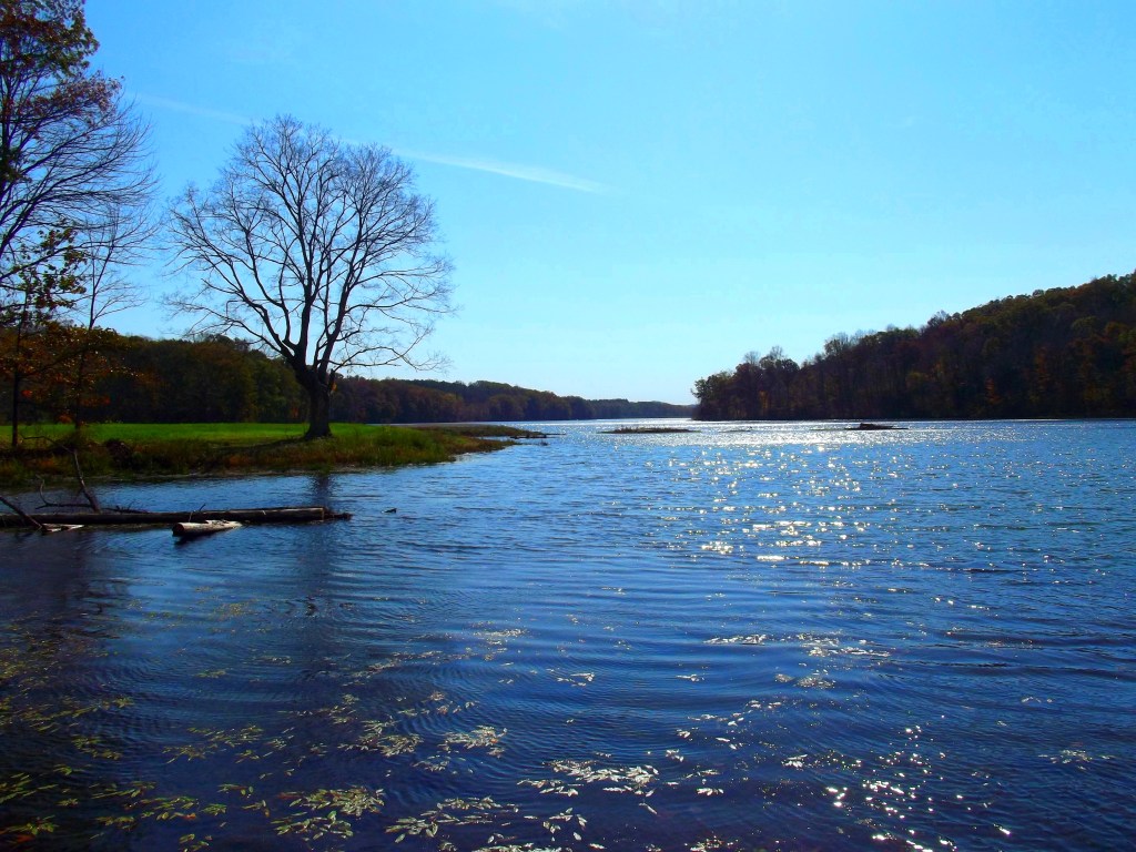 Yellowwood State Forest
