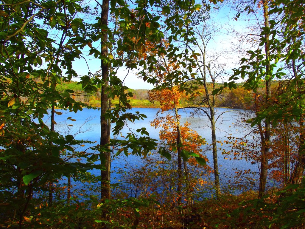 Yellowwood State Forest