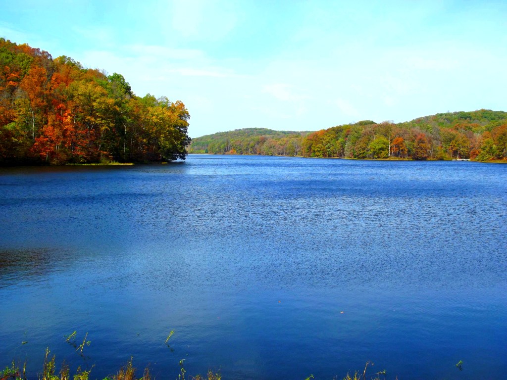 Yellowwood State Forest