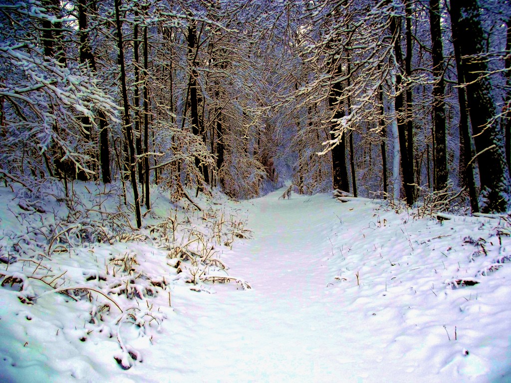 Winter at McCormick's Creek State Park