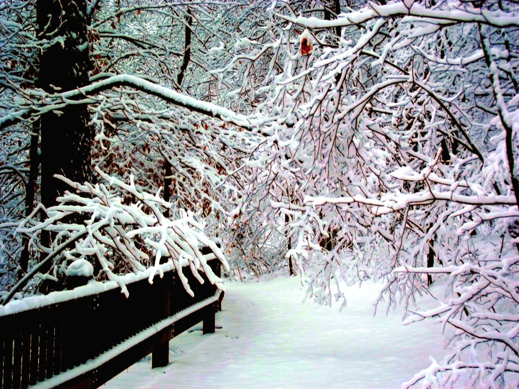 Winter at McCormick's Creek State Park