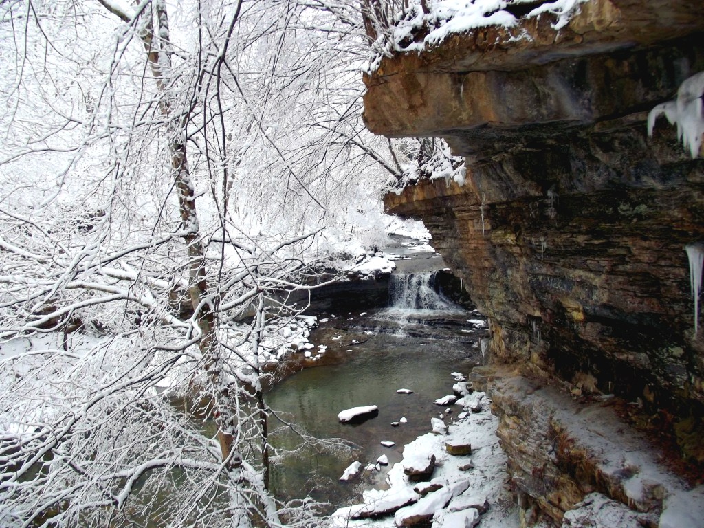 Winter at McCormick's Creek State Park