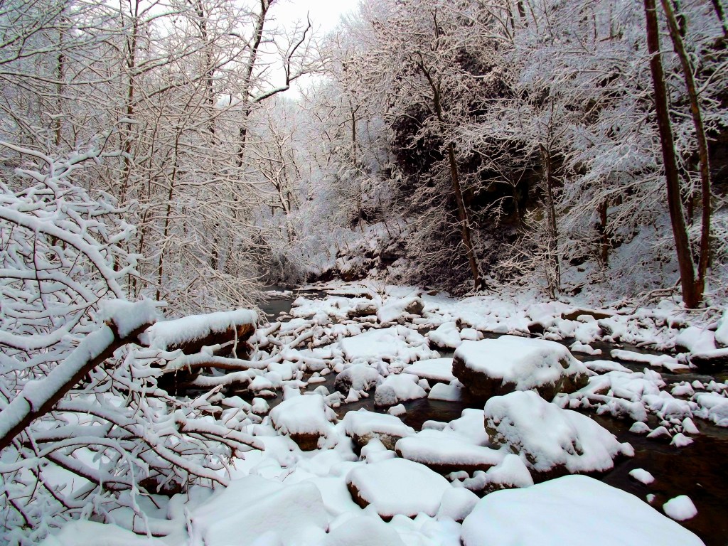 Winter at McCormick's Creek State Park