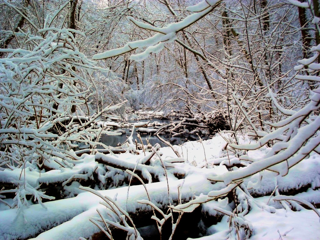 Winter at McCormick's Creek State Park