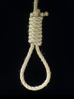 Hangman's Noose