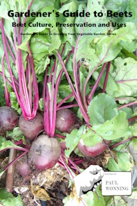 Gardener's Guide to Growing Beets
