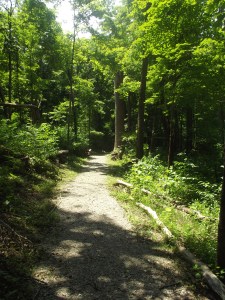 Nine Penny Branch Nature Preserve
